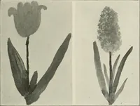 An illustration from Nature drawing from various points of view (1910)