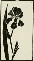 An illustration from Nature drawing from various points of view (1910)