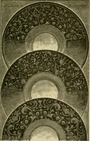 Picture 32 of 307 from Nature in ornament; an enquiry into the natural element in ornamental design & a survey of the ornamental treatment of natural forms (1902), leaf 106