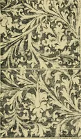 An illustration from Nature in ornament; an enquiry into the natural element in ornamental design & a survey of the ornamental treatment of natural forms (1902)