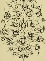 An illustration from Nature in ornament; an enquiry into the natural element in ornamental design & a survey of the ornamental treatment of natural forms (1902)