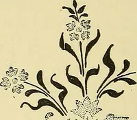 An illustration from Nature in ornament; an enquiry into the natural element in ornamental design & a survey of the ornamental treatment of natural forms (1902)