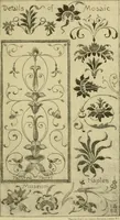 An illustration from Nature in ornament; an enquiry into the natural element in ornamental design & a survey of the ornamental treatment of natural forms (1902)