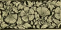 An illustration from Nature in ornament; an enquiry into the natural element in ornamental design & a survey of the ornamental treatment of natural forms (1902)