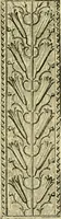An illustration from Nature in ornament; an enquiry into the natural element in ornamental design & a survey of the ornamental treatment of natural forms (1902)