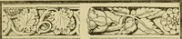 An illustration from Nature in ornament; an enquiry into the natural element in ornamental design & a survey of the ornamental treatment of natural forms (1902)