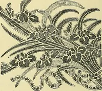 An illustration from Nature in ornament; an enquiry into the natural element in ornamental design & a survey of the ornamental treatment of natural forms (1902)