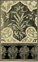 An illustration from Nature in ornament; an enquiry into the natural element in ornamental design & a survey of the ornamental treatment of natural forms (1902)
