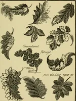 An illustration from Nature in ornament; an enquiry into the natural element in ornamental design & a survey of the ornamental treatment of natural forms (1902)