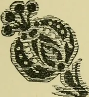 Picture 82 of 307 from Nature in ornament; an enquiry into the natural element in ornamental design & a survey of the ornamental treatment of natural forms (1902), leaf 172