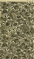 An illustration from Nature in ornament; an enquiry into the natural element in ornamental design & a survey of the ornamental treatment of natural forms (1902)