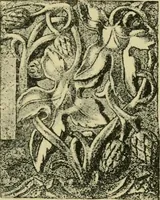 Picture 92 of 307 from Nature in ornament; an enquiry into the natural element in ornamental design & a survey of the ornamental treatment of natural forms (1902), leaf 184