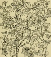 An illustration from Nature in ornament; an enquiry into the natural element in ornamental design & a survey of the ornamental treatment of natural forms (1902)