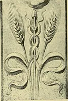 An illustration from Nature in ornament; an enquiry into the natural element in ornamental design & a survey of the ornamental treatment of natural forms (1902)