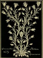 Picture 103 of 307 from Nature in ornament; an enquiry into the natural element in ornamental design & a survey of the ornamental treatment of natural forms (1902), leaf 206