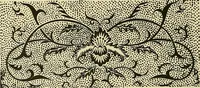 Picture 108 of 307 from Nature in ornament; an enquiry into the natural element in ornamental design & a survey of the ornamental treatment of natural forms (1902), leaf 213