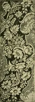 Picture 110 of 307 from Nature in ornament; an enquiry into the natural element in ornamental design & a survey of the ornamental treatment of natural forms (1902), leaf 216