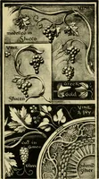 An illustration from Nature in ornament; an enquiry into the natural element in ornamental design & a survey of the ornamental treatment of natural forms (1902)