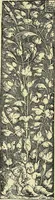 An illustration from Nature in ornament; an enquiry into the natural element in ornamental design & a survey of the ornamental treatment of natural forms (1902)