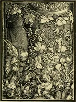 An illustration from Nature in ornament; an enquiry into the natural element in ornamental design & a survey of the ornamental treatment of natural forms (1902)