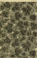Picture 141 of 307 from Nature in ornament; an enquiry into the natural element in ornamental design & a survey of the ornamental treatment of natural forms (1902), leaf 278