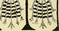 Picture 142 of 307 from Nature in ornament; an enquiry into the natural element in ornamental design & a survey of the ornamental treatment of natural forms (1902), leaf 281