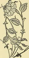 An illustration from Nature in ornament; an enquiry into the natural element in ornamental design & a survey of the ornamental treatment of natural forms (1902)