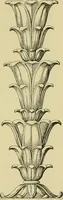 An illustration from Nature in ornament; an enquiry into the natural element in ornamental design & a survey of the ornamental treatment of natural forms (1902)