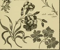 An illustration from Nature in ornament; an enquiry into the natural element in ornamental design & a survey of the ornamental treatment of natural forms (1902)