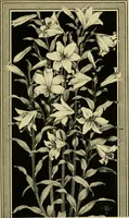 An illustration from Nature in ornament; an enquiry into the natural element in ornamental design & a survey of the ornamental treatment of natural forms (1902)