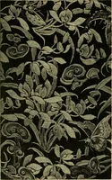 Picture 178 of 307 from Nature in ornament; an enquiry into the natural element in ornamental design & a survey of the ornamental treatment of natural forms (1902), leaf 326
