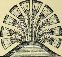 An illustration from Nature in ornament; an enquiry into the natural element in ornamental design & a survey of the ornamental treatment of natural forms (1902)