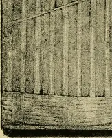 An illustration from Nature in ornament; an enquiry into the natural element in ornamental design & a survey of the ornamental treatment of natural forms (1902)