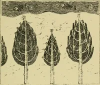 An illustration from Nature in ornament; an enquiry into the natural element in ornamental design & a survey of the ornamental treatment of natural forms (1902)