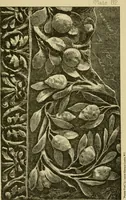Picture 194 of 307 from Nature in ornament; an enquiry into the natural element in ornamental design & a survey of the ornamental treatment of natural forms (1902), leaf 350