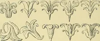 An illustration from Nature in ornament; an enquiry into the natural element in ornamental design & a survey of the ornamental treatment of natural forms (1902)