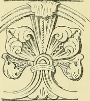 An illustration from Nature in ornament; an enquiry into the natural element in ornamental design & a survey of the ornamental treatment of natural forms (1902)