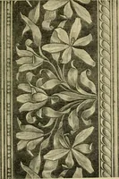 An illustration from Nature in ornament; an enquiry into the natural element in ornamental design & a survey of the ornamental treatment of natural forms (1902)