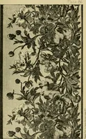 Picture 208 of 307 from Nature in ornament; an enquiry into the natural element in ornamental design & a survey of the ornamental treatment of natural forms (1902), leaf 366