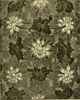 Picture 212 of 307 from Nature in ornament; an enquiry into the natural element in ornamental design & a survey of the ornamental treatment of natural forms (1902), leaf 374