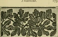 Picture 216 of 307 from Nature in ornament; an enquiry into the natural element in ornamental design & a survey of the ornamental treatment of natural forms (1902), leaf 380
