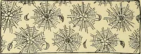 Picture 254 of 307 from Nature in ornament; an enquiry into the natural element in ornamental design & a survey of the ornamental treatment of natural forms (1902), leaf 459