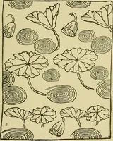 An illustration from Nature in ornament; an enquiry into the natural element in ornamental design & a survey of the ornamental treatment of natural forms (1902)