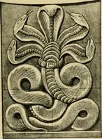 An illustration from Nature in ornament; an enquiry into the natural element in ornamental design & a survey of the ornamental treatment of natural forms (1902)