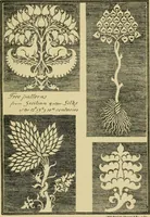 Picture 294 of 307 from Nature in ornament; an enquiry into the natural element in ornamental design & a survey of the ornamental treatment of natural forms (1902), leaf 506