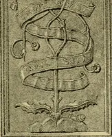 Picture 302 of 307 from Nature in ornament; an enquiry into the natural element in ornamental design & a survey of the ornamental treatment of natural forms (1902), leaf 514