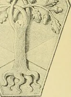 An illustration from Nature in ornament; an enquiry into the natural element in ornamental design & a survey of the ornamental treatment of natural forms (1902)