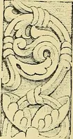 An illustration from Nature in ornament; an enquiry into the natural element in ornamental design & a survey of the ornamental treatment of natural forms (1902)