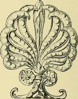 An illustration from Nature in ornament; an enquiry into the natural element in ornamental design & a survey of the ornamental treatment of natural forms (1902)