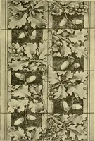 An illustration from Nature in ornament; an enquiry into the natural element in ornamental design & a survey of the ornamental treatment of natural forms (1902)